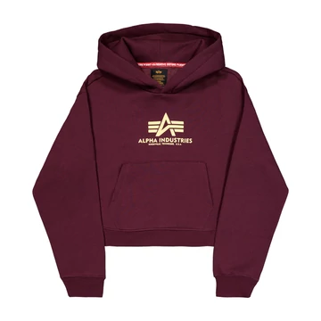 basic-big-logo-puff-print-hoodie-women-dark-cherry