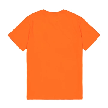 basic-t-small-logo-boost-orange