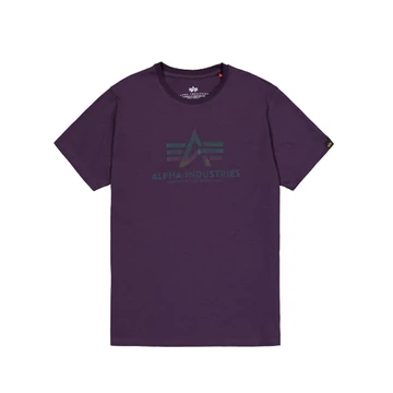 Basic T Rainbow Reflective - plum