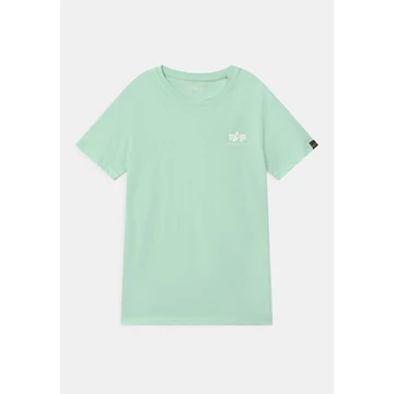 Basic T Small Logo - mint