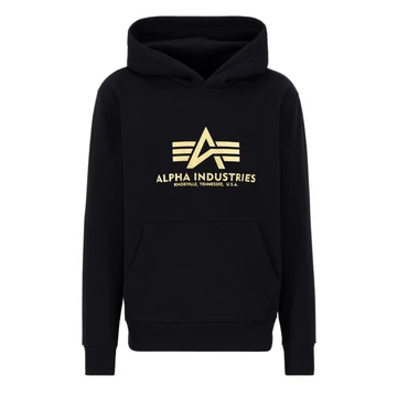 Basic Hoody Carbon - black/gold