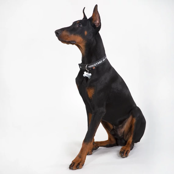 ai-dog-tag-collaer-black-grey.jpg