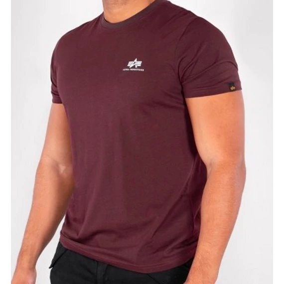 basic-t-small-logo-deep-maroon.png