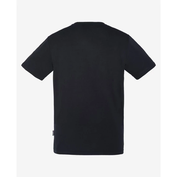 TS Logo - black