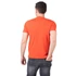 Basic T - atomic red