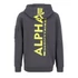back-print-hoody-vintage-grey-alpha.png