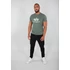 Basic T - vintage green
